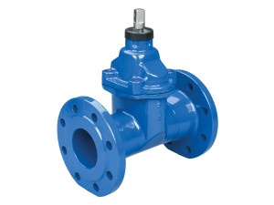 Flanged gate valve 002 F5 PN 10