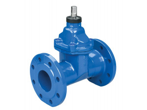 Flanged gate valve 002 F5 PN 10/16 ductile