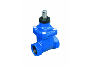 Service valve PN 10