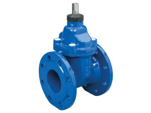 Flanged gate valve 111 F4 PN 10