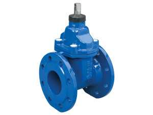 Flanged gate valve 111 F4 PN 10/16 ductile